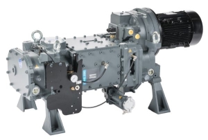 DWS 200 Yağsız Vidalı Vakum Pompası - 200 m3/h