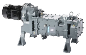 DWS 300 Vidalı (Yağsız) Vakum Pompası - 280 m³/h